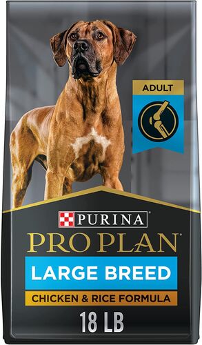 Large Breed Adult Chicken & Rice Formula Dry Dog Food - 18 Lb