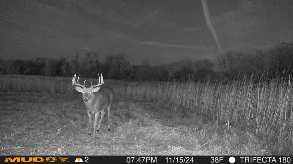 Outdoors Trifecta 180/180°cellular Camera 36mp Reviews Outdoors