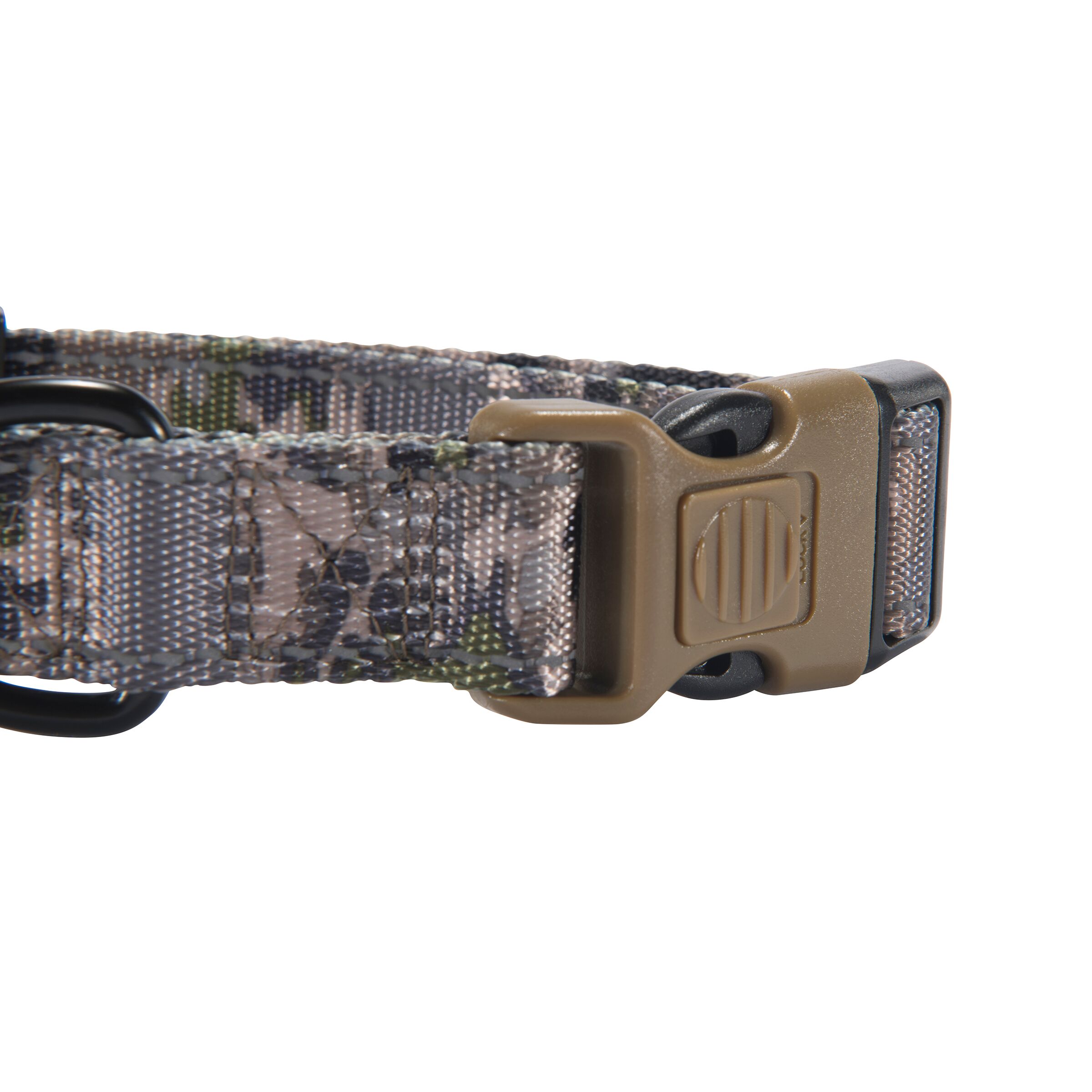 Classic Webbing Dog Collar
