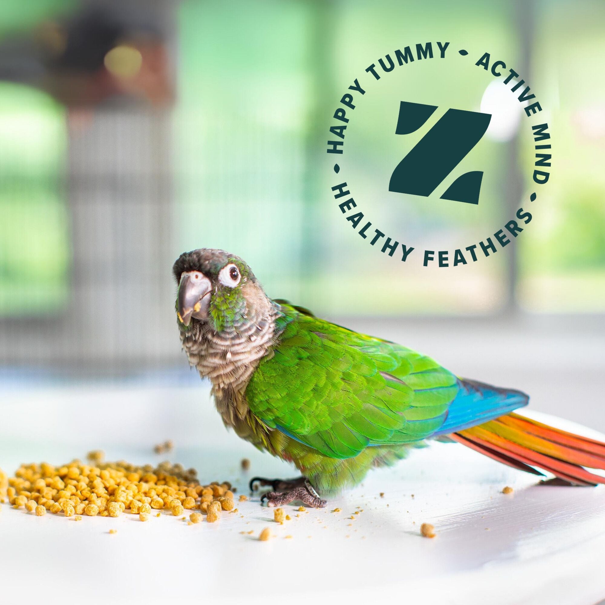 True Harvest Core Nutrition Daily Bird Food for Parrots & Conures