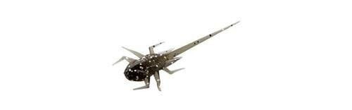 B.A.M.F. Soft Panfish Bait