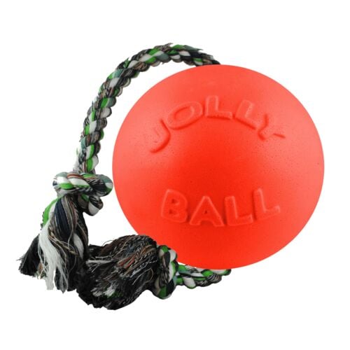 8" Romp-N-Roll Ball Dog Toy in Orange