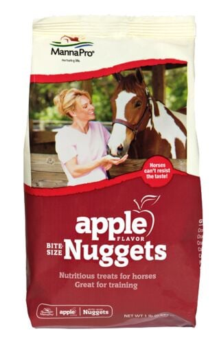Apple Flv Nuggets Horse Treat - 1 Lb
