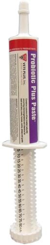Probiotic Plus Paste - 80 cc Tube