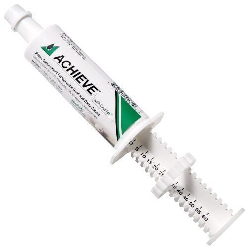 Achieve Paste - 60 g