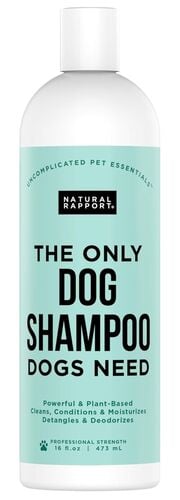 The Only Dog Shampoo Dogs Need - 16 oz