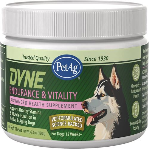 Dyne Endurance & Vitality Advanced Health Supplement - 60 Soft Chews