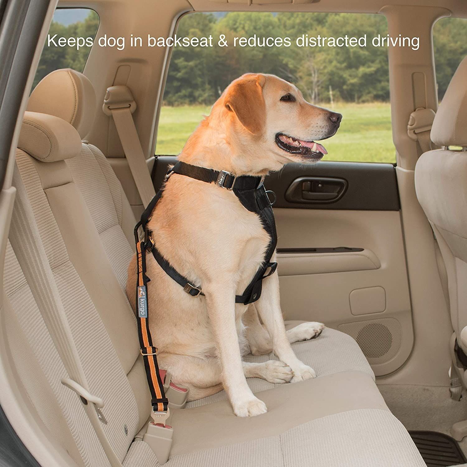 Direct to Seatbelt Tether Car Restraint for Dogs