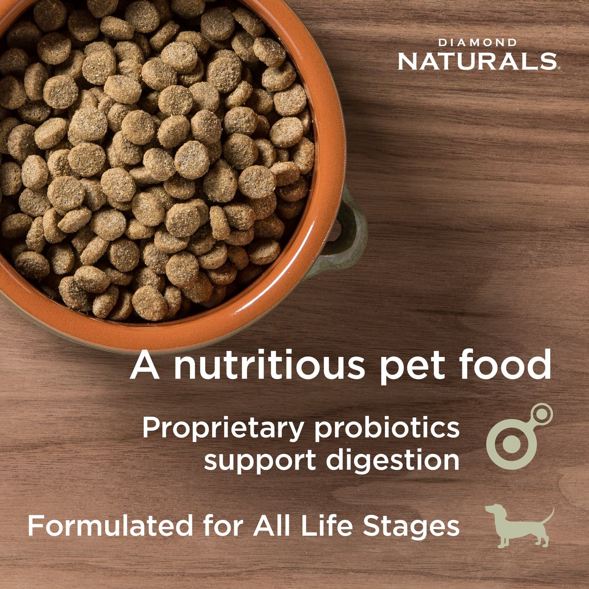 All Life Stages Skin & Coat Real Salmon & Potato Recipe Dry Dog Food