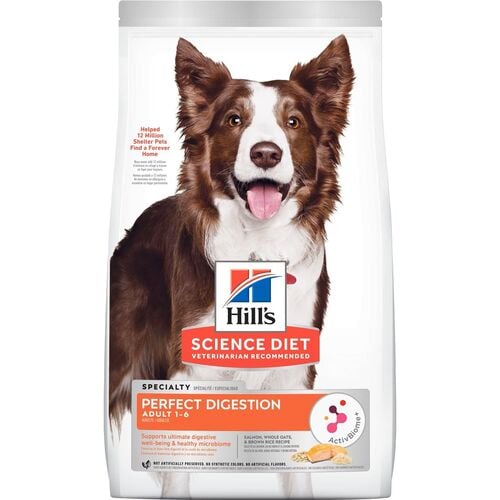 Adult Perfect Digestion Salmon Dry Dog Food - 22 Lb