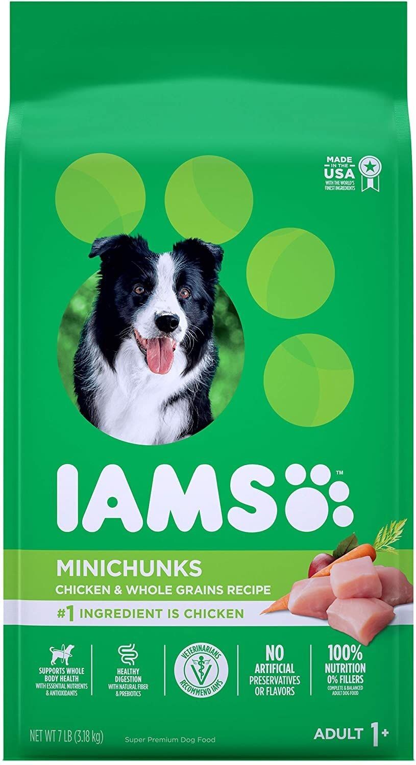 Adult Chicken and Whole Grains Minichunks Dry Dog Food