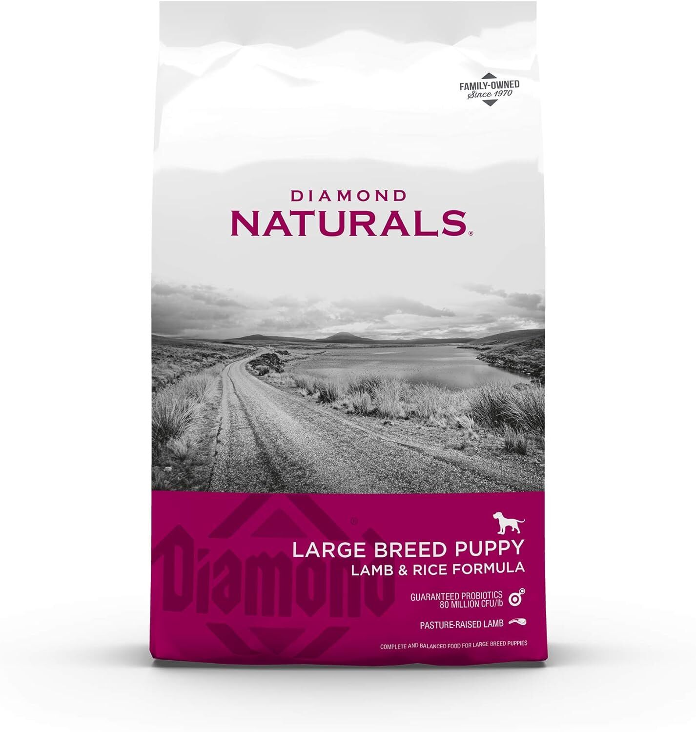 Large Breed Puppy Lamb & Rice Dry Dog Food