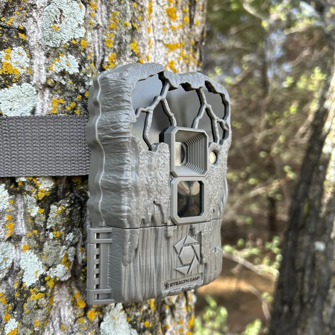 20MP Trail Camera 2-Pack