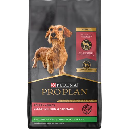 Small Breed Sensitive Skin & Stomach Salmon & Rice FormulaDry Dog Food - 16 Lb
