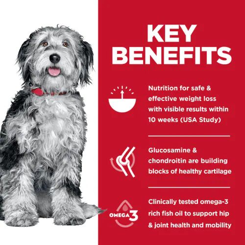 Adult Perfect Weight & Joint Support Chicken Recipe Dog Food