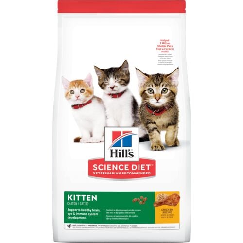 Kitten Chicken Recipe Cat Food