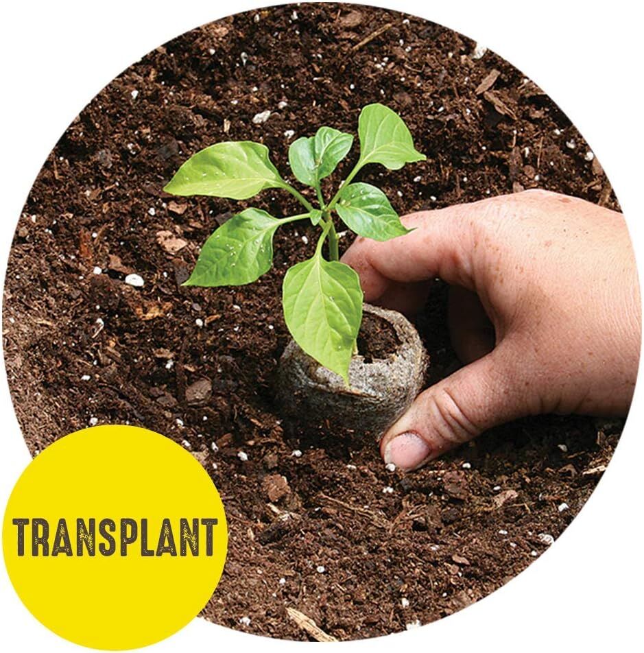 Seed Starting Greenhouse Kit with 36 Peat Pellets