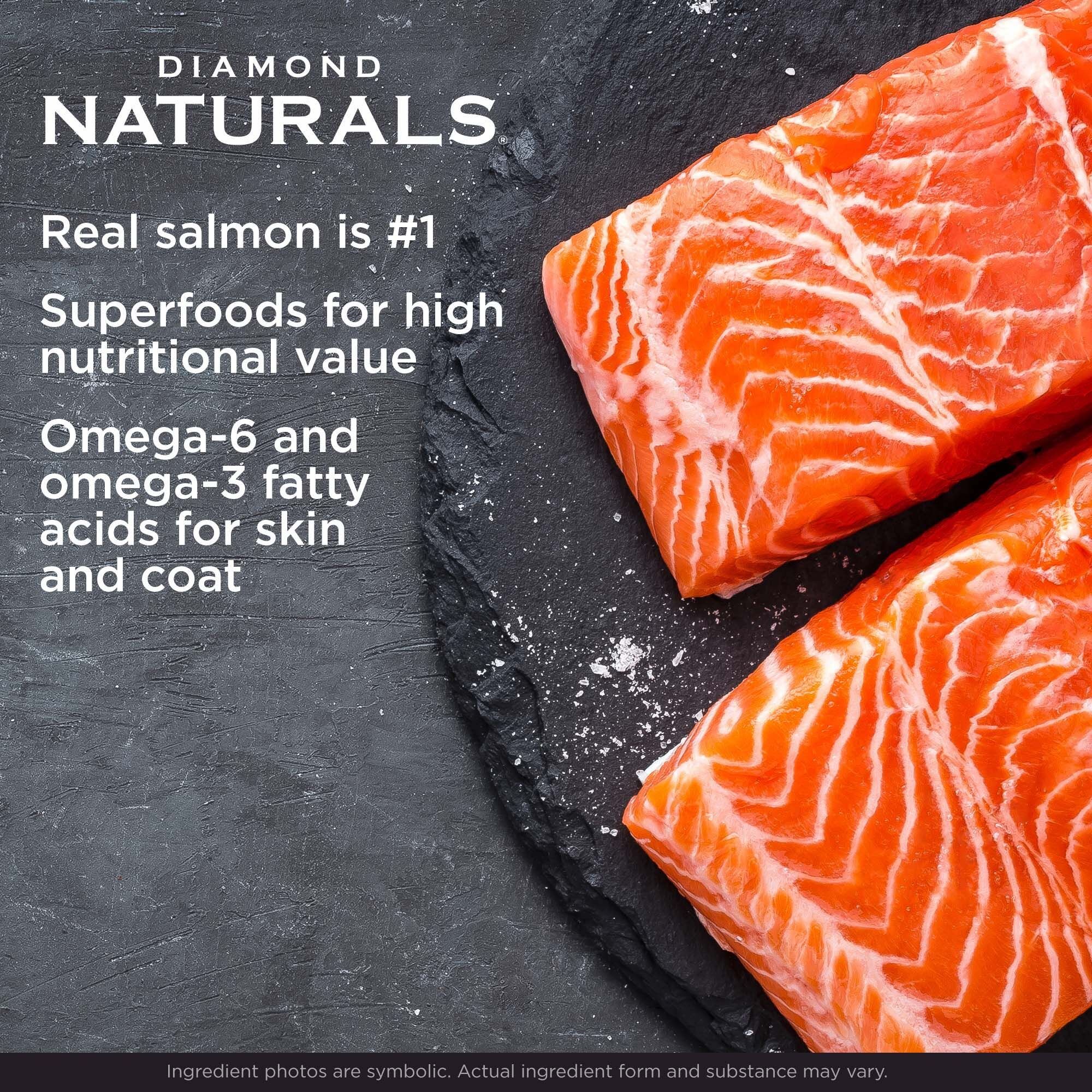 All Life Stages Skin & Coat Real Salmon & Potato Recipe Dry Dog Food