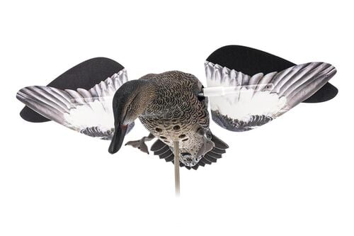Powerflight Hen Teal