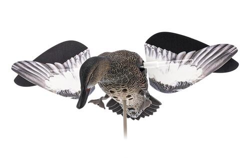 Powerflight Hen Teal