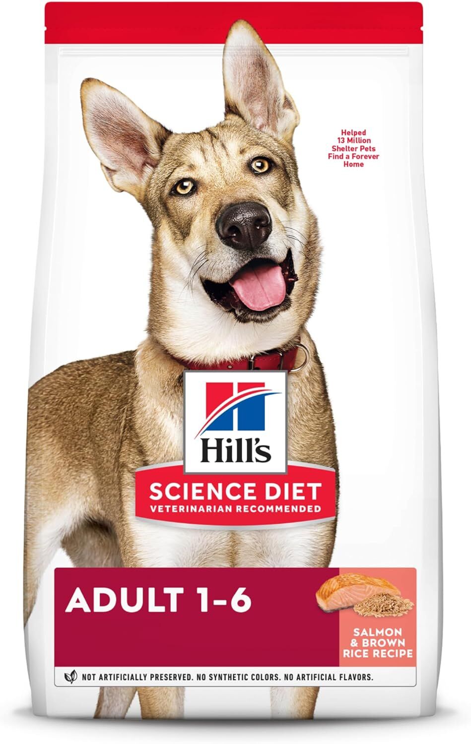 Adult Salmon & Brown Rice Recipe Dry Dog Food