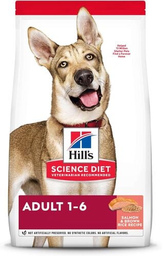 Adult Salmon & Brown Rice Recipe Dry Dog Food