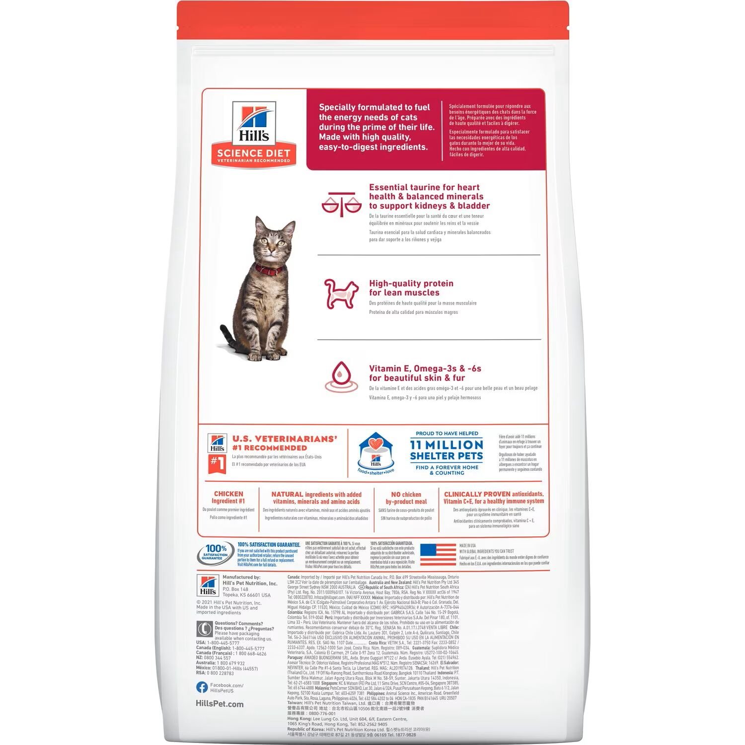 Adult Chicken Recipe Cat Food