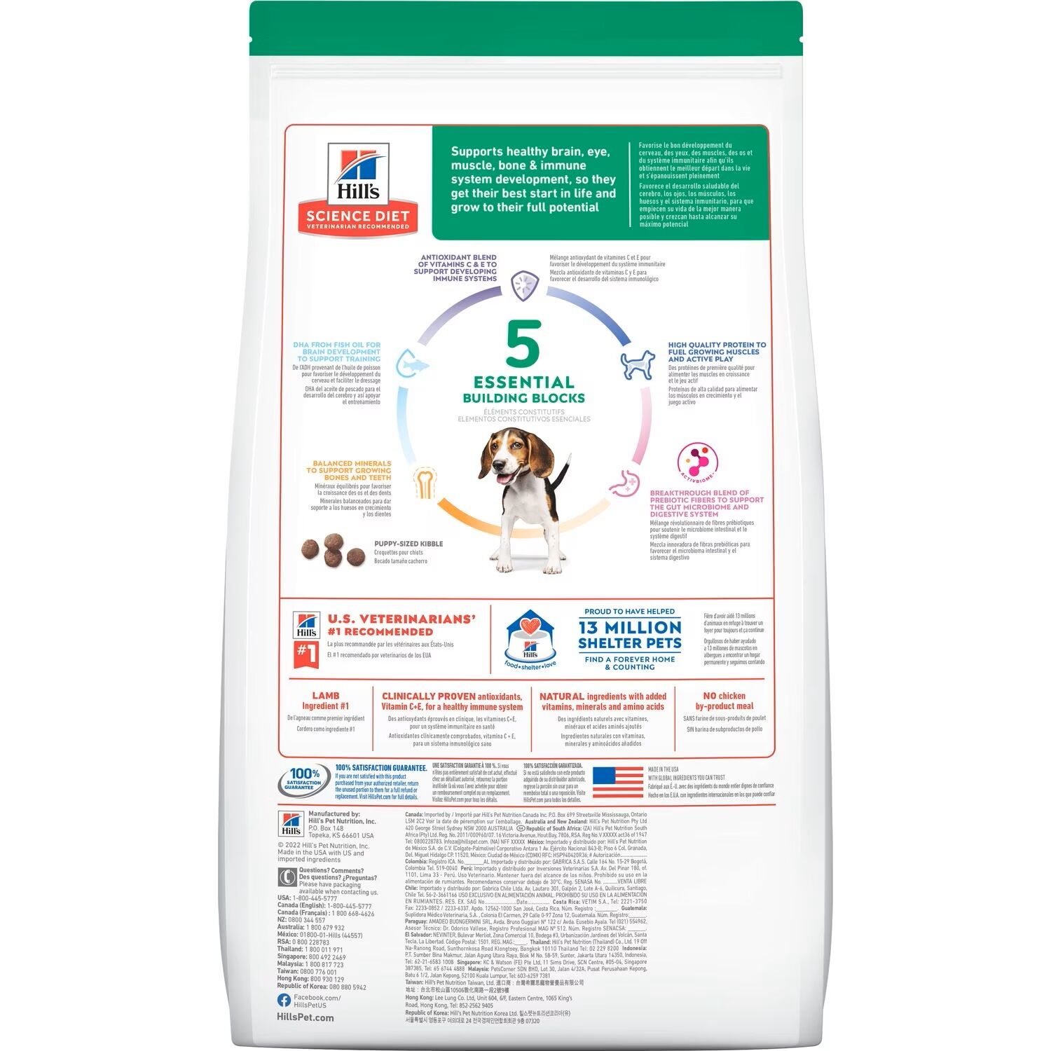 Lamb and Rice Puppy Food