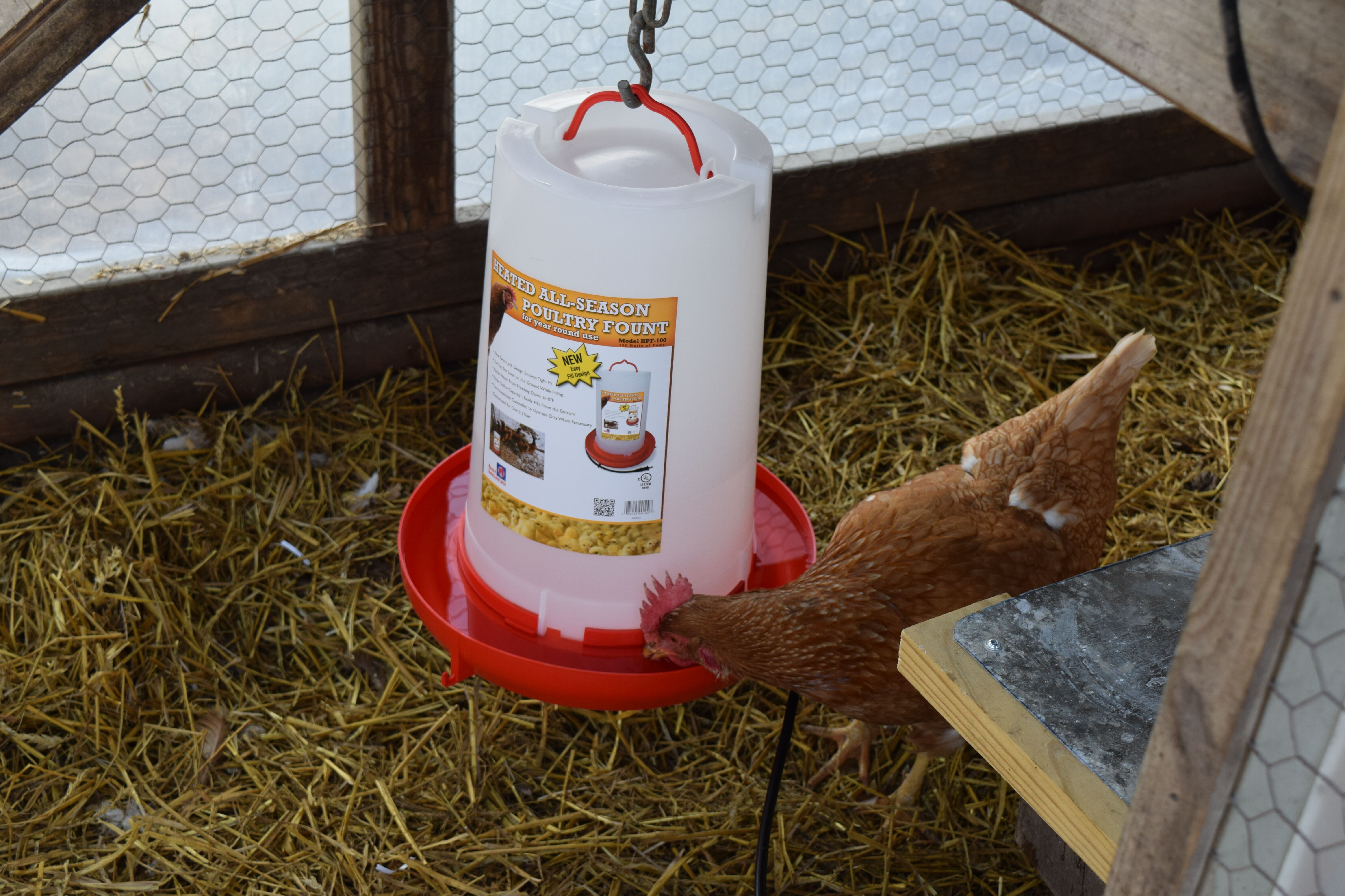 Farm-Tuff 3 Gal. Galvanized Poultry Fountain | Do It Best