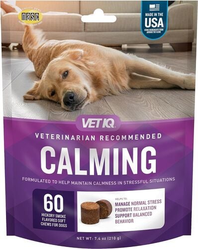 Calming Soft Chews for Dogs - 60 Count