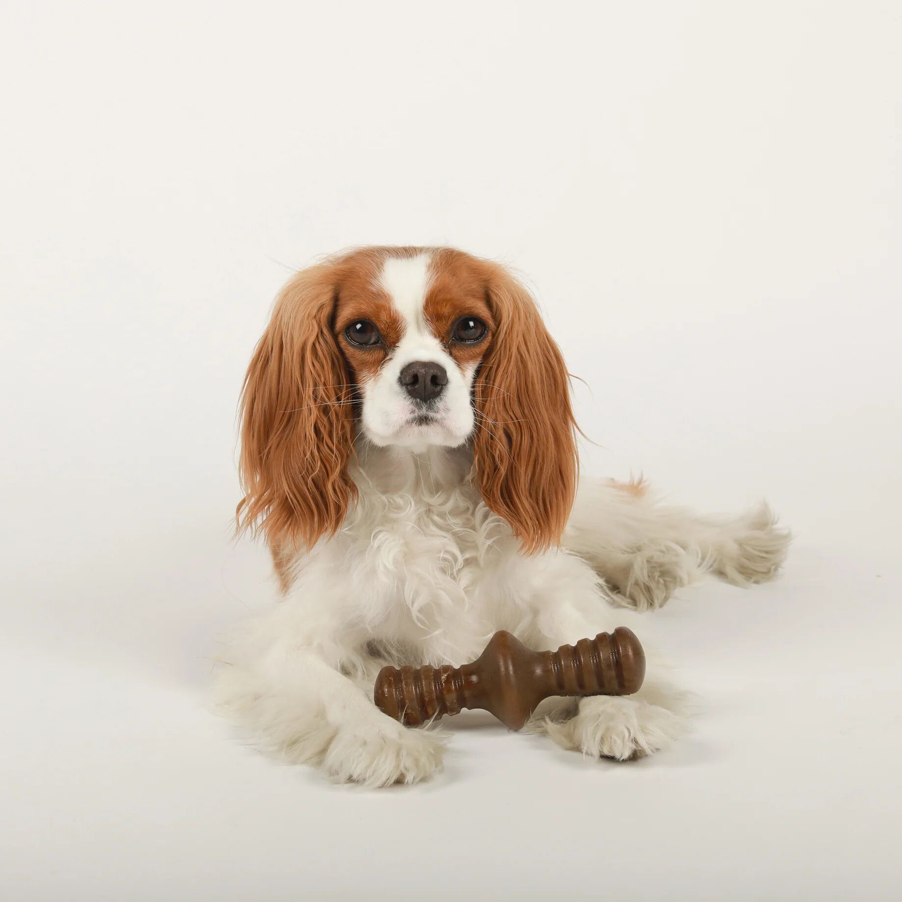 Bacon Flavored Zaggler Durable Dog Chew Toy