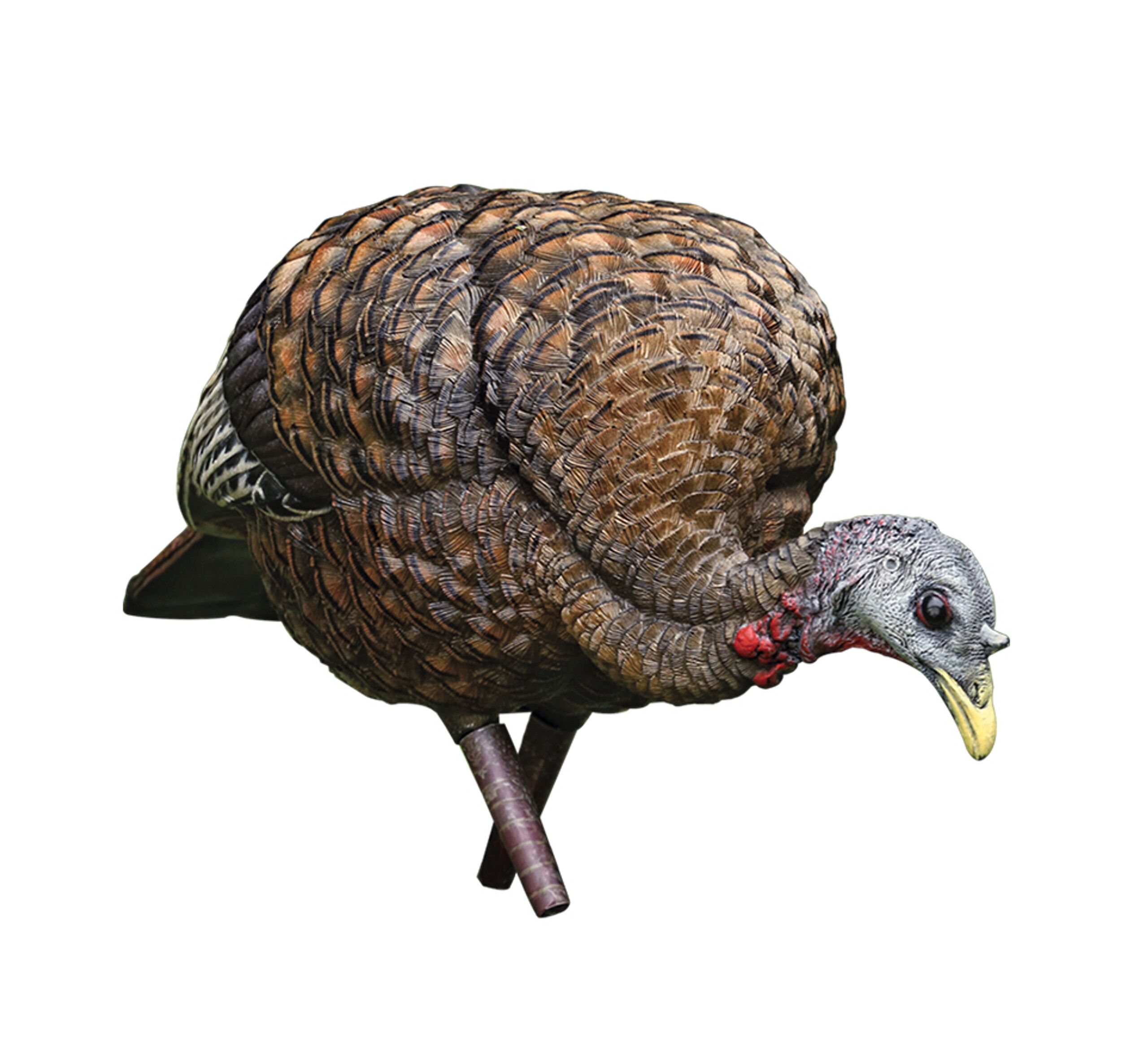 Xavian Hen Turkey Decoy