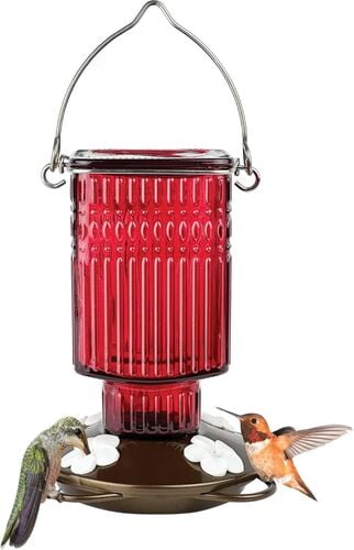 Hanging Glass Hummingbird Feeder in Red - 22 oz