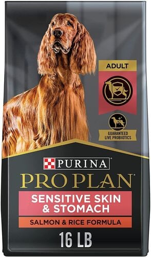 Sensitive Skin & Stomach Salmon & Rice Adult Dry Dog Food