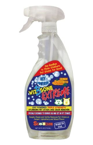 Pet Wiz B Gone Stain and Odor Remover - 22 oz