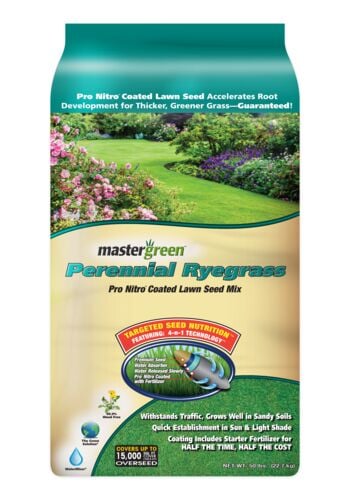 Perennial Ryegrass Grass Seed - 50 Lb