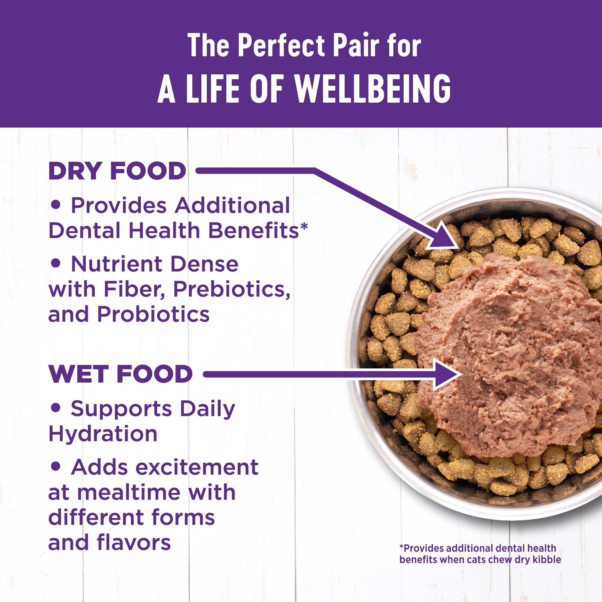 Wellness Indoor Salmon Herring Recipe Grain-Free Dry Cat Food