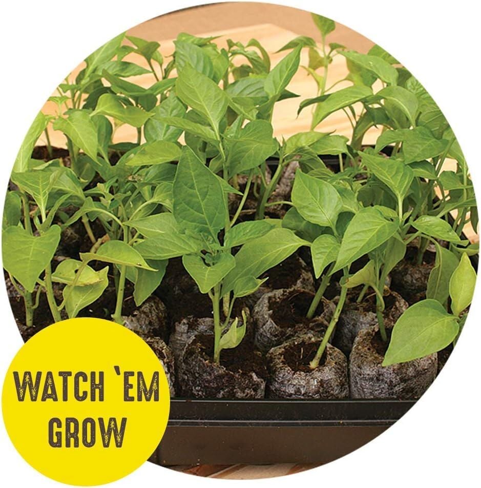 Seed Starting Greenhouse Kit with 36 Peat Pellets