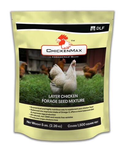 ChickenMax Layer Chicken Forage Grass Seed - 5 Lb