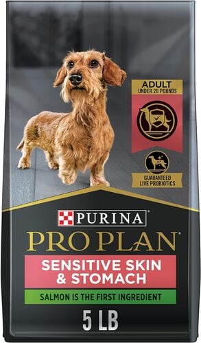 Small Breed Adult Sensitive Skin & Stomach Salmon & Rice Formula Dry Dog Food - 5 Lb