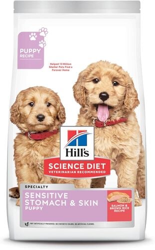 Puppy Sensitive Stomach & Skin Salmon & Brown Rice Recipe Dry Dog Food