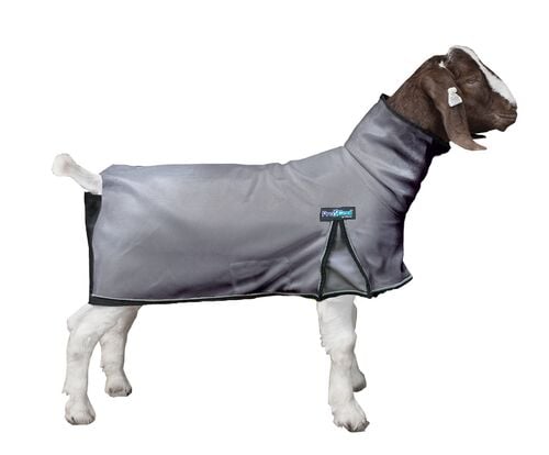 Weaver Livestock ProCool Goat Large Gray Blanket