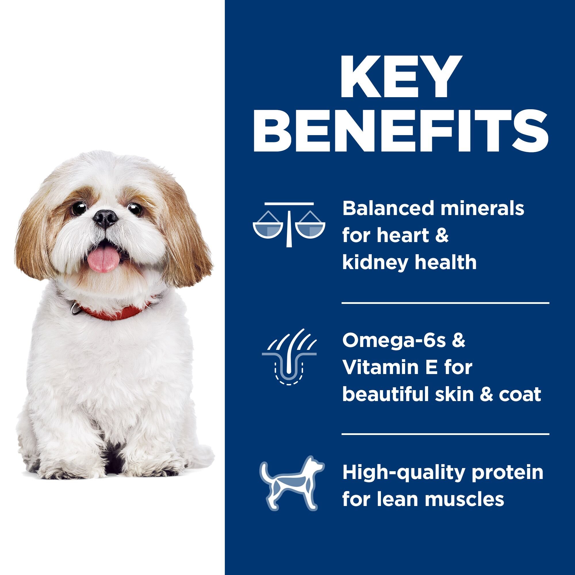 Adult 7+ Small Bites Chicken Meal Barley & Rice Recipe Dog Food