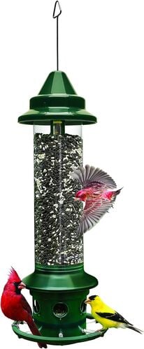 Squirrel Buster Plus Squirrel Proof Bird Feeder