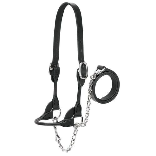 Show Rounded Noseband Strap Heife Halter