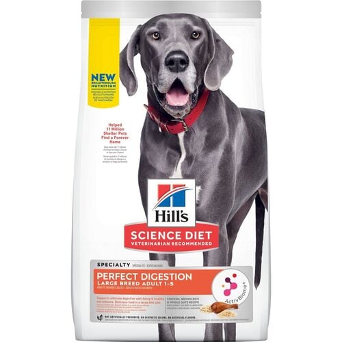 Perfect Digestion Large Breed Chicken Brown Rice & Whole Oats Recipe Dog Food - 22 Lb