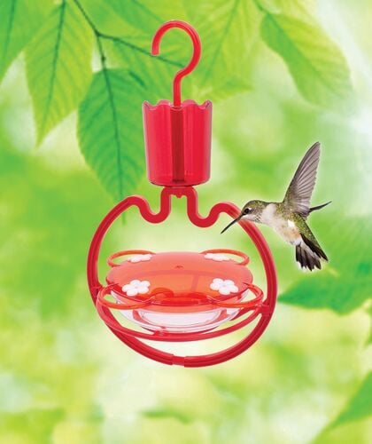 Bird Feeders