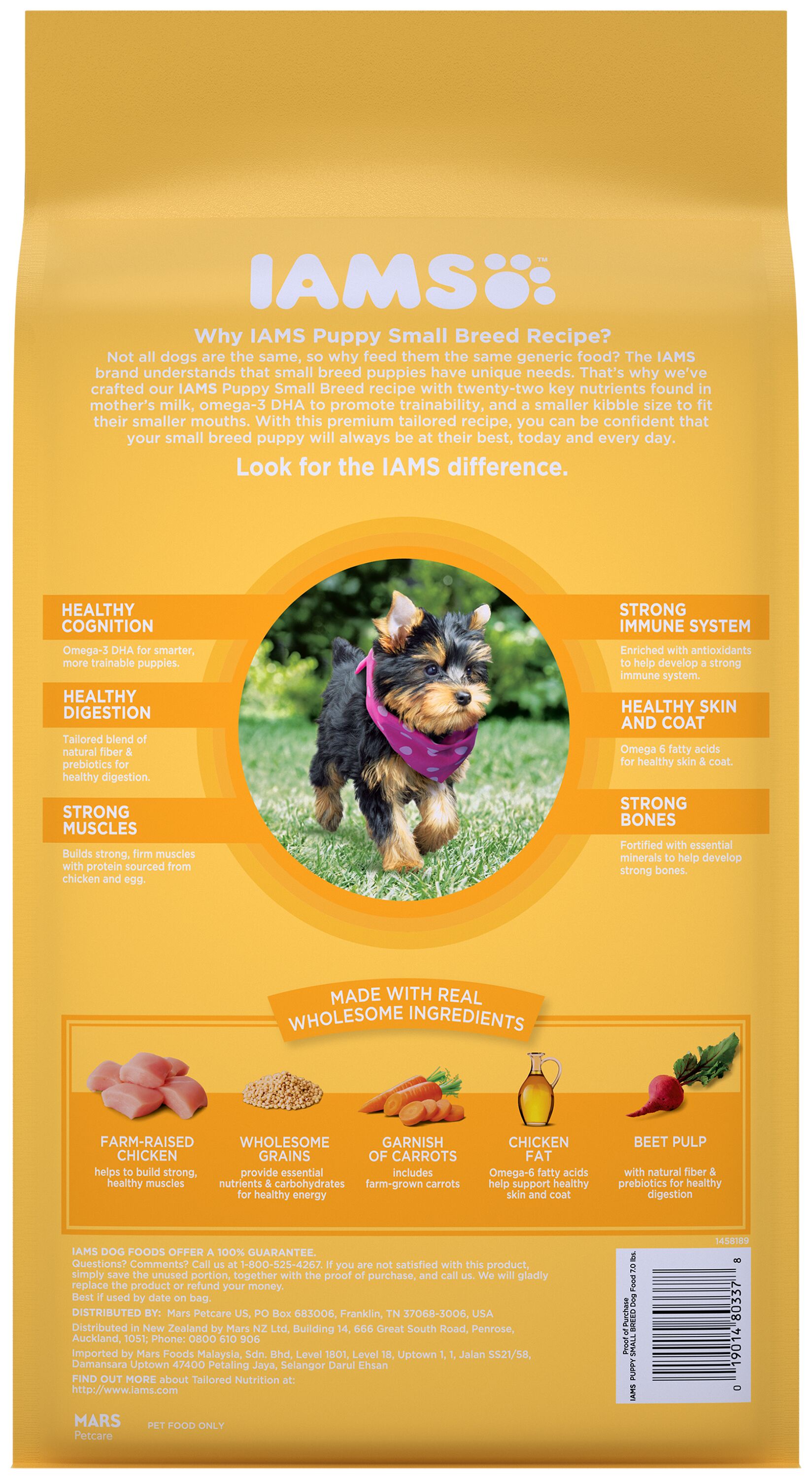 blue diamond beef dog food Diamond Naturals Beef Meal & Rice Adult Dog Food 40 lb main image 0