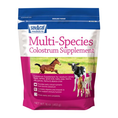 Multi-Species Colostrum Supplement - 16 oz