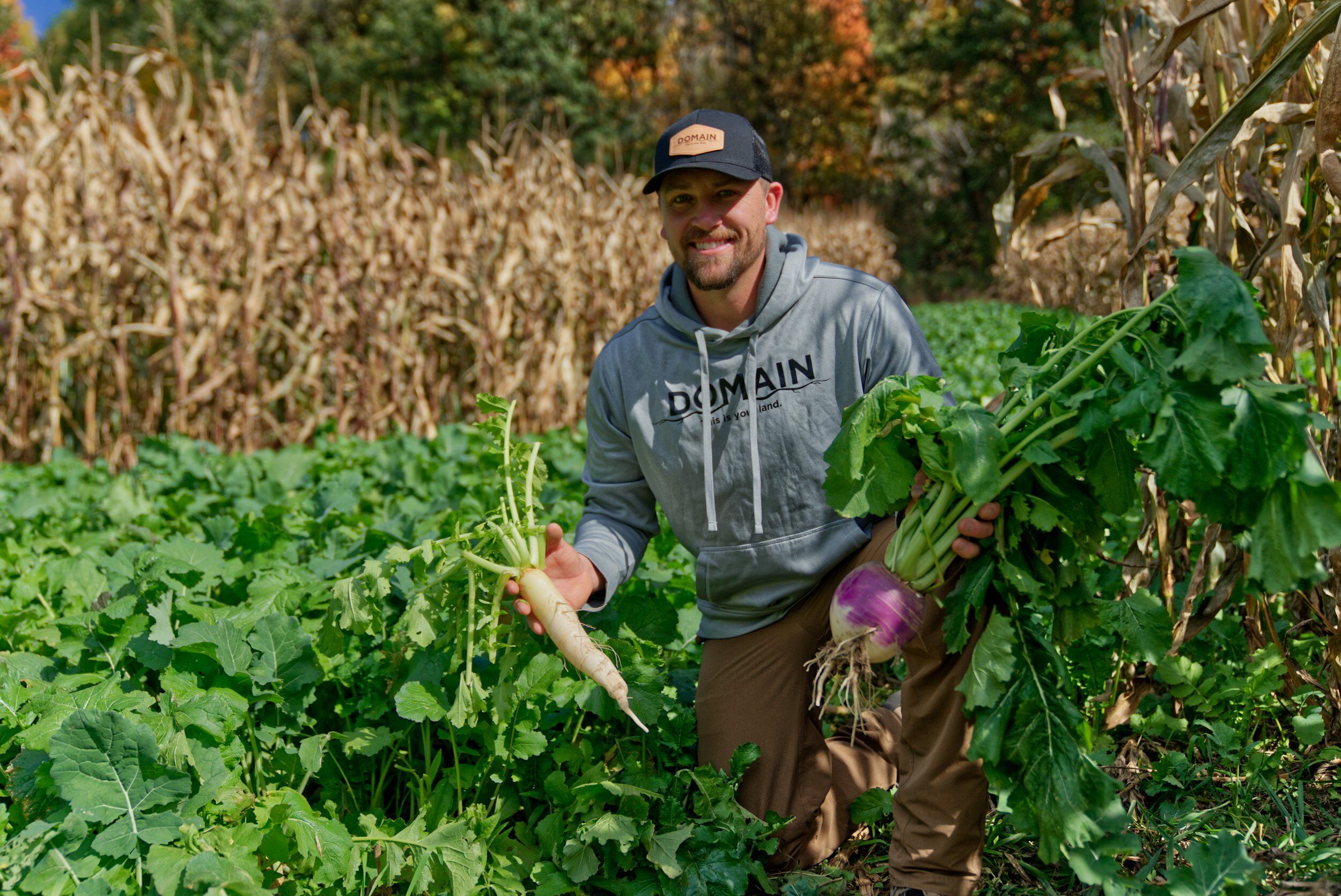 Domain Outdoor Big Sexy Food Plot Seed - 1/2 Acre